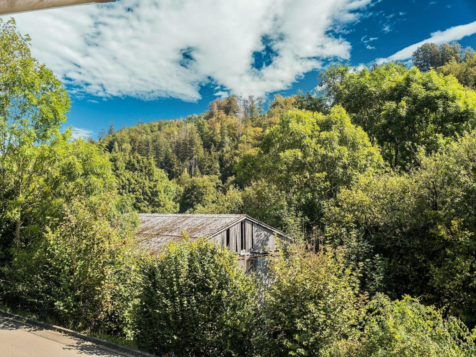 Modern Apartment In Schwalefeld With Garden ヴィリンゲン エクステリア 写真